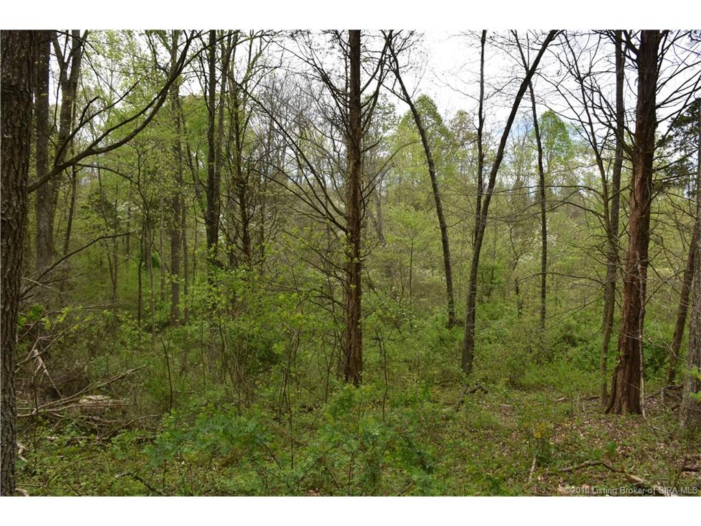 Fetz Harris Road Fredericksburg, IN 47120 - Photo 12 of 19 Gallery Image 12