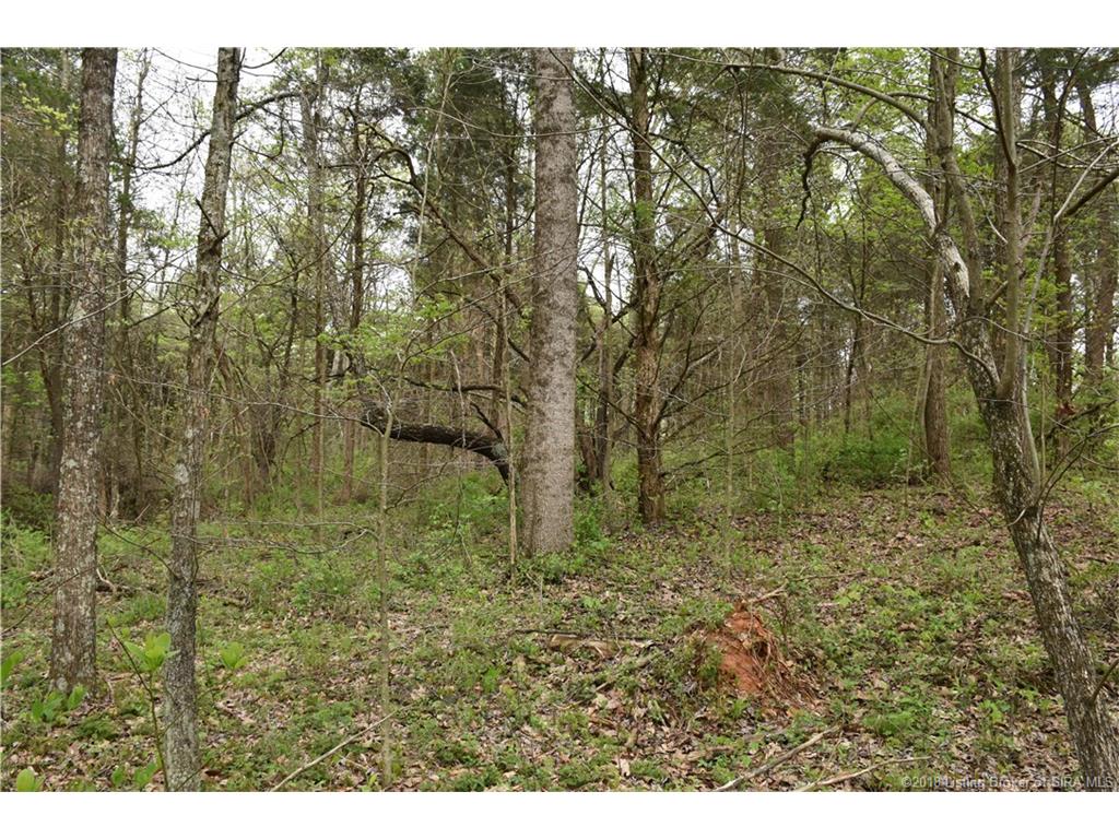 Fetz Harris Road Fredericksburg, IN 47120 - Photo 13 of 19 Gallery Image 13