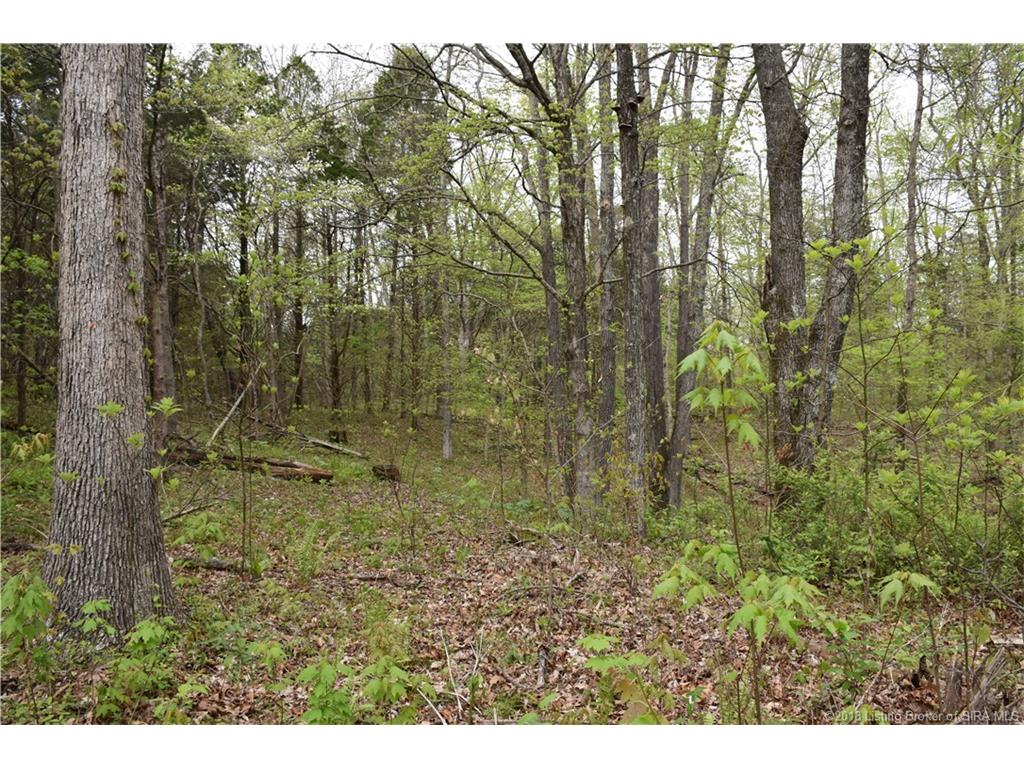 Fetz Harris Road Fredericksburg, IN 47120 - Photo 14 of 19 Gallery Image 14