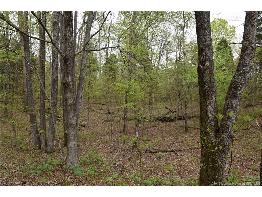 Fetz Harris Road Fredericksburg, IN 47120 - Photo 15 of 19 Gallery Image 15