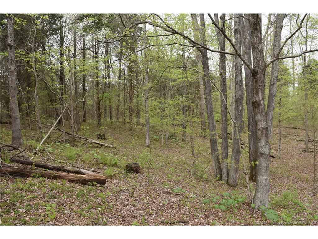 Fetz Harris Road Fredericksburg, IN 47120 - Photo 16 of 19 Gallery Image 16