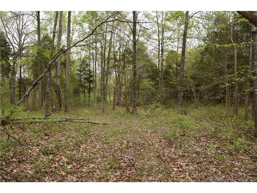 Fetz Harris Road Fredericksburg, IN 47120 - Photo 18 of 19 Gallery Image 18