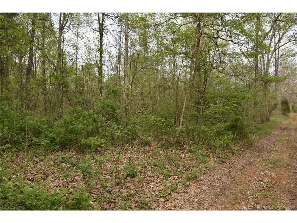 Fetz Harris Road Fredericksburg, IN 47120 - Photo 2 of 19 Gallery Image 2