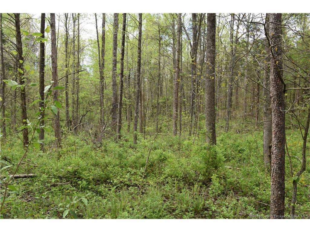Fetz Harris Road Fredericksburg, IN 47120 - Photo 5 of 19 Gallery Image 5