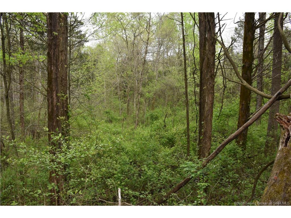 Fetz Harris Road Fredericksburg, IN 47120 - Photo 6 of 19 Gallery Image 6
