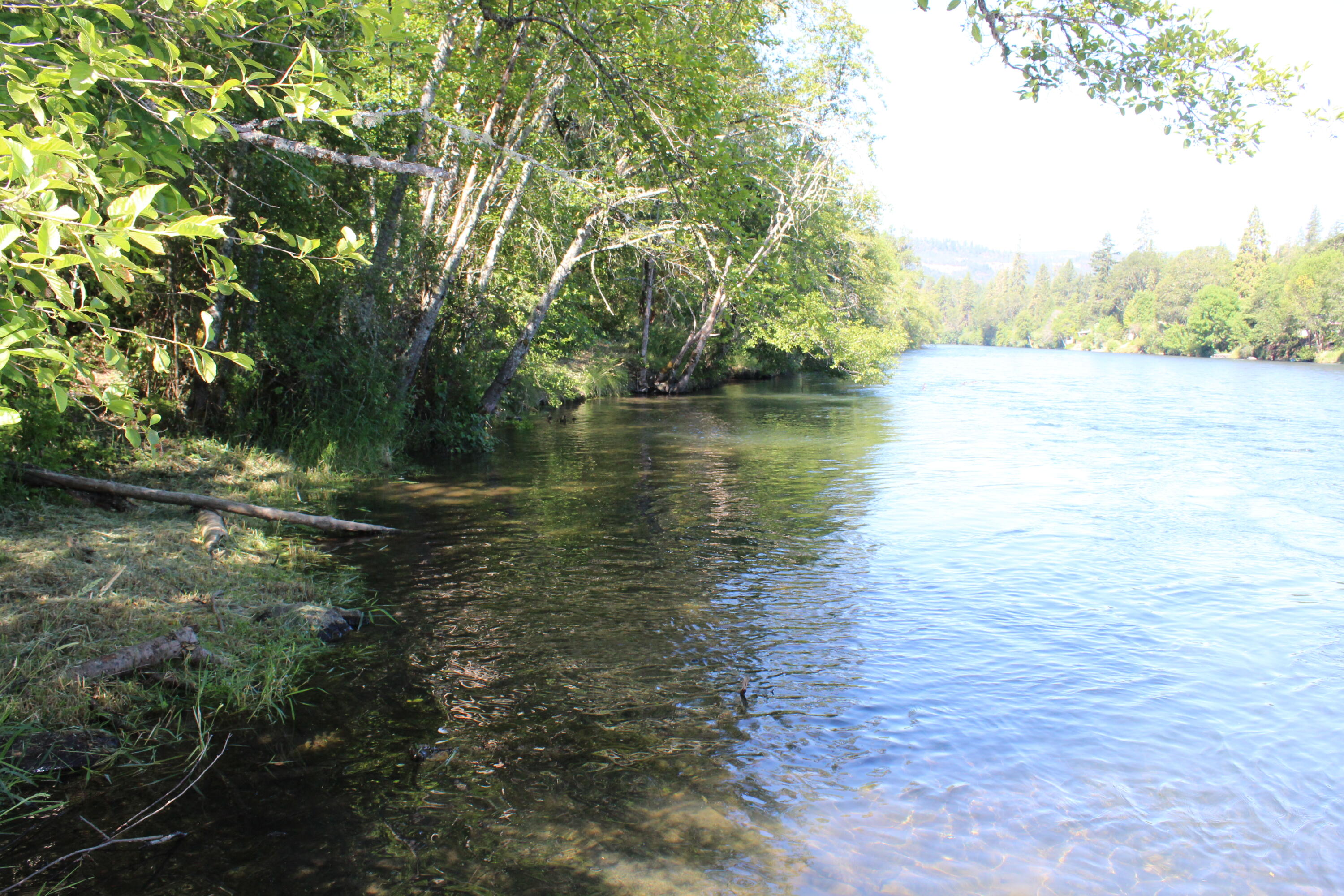 Old Ferry Road Shady Cove, OR 97539 - Photo 28 of 33 IMG_2197