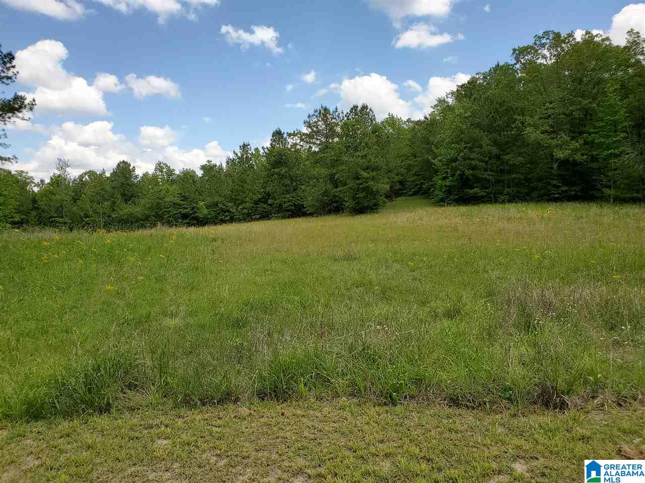715 Lovejoy Road Ashville, AL 35953 - Photo 4 of 22