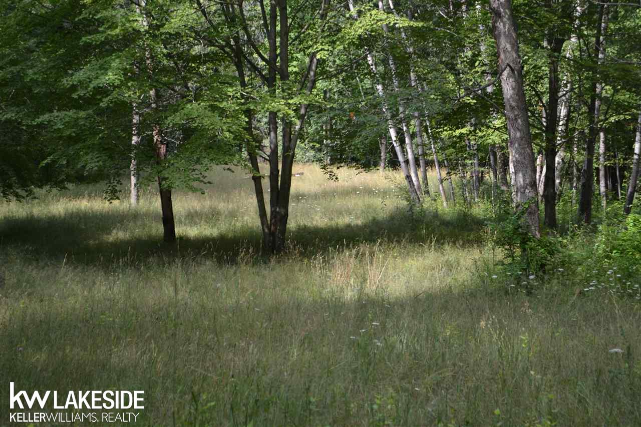 0 Lassier Romeo, MI 48065 - Photo 4 of 4