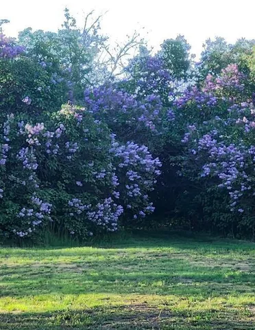 $439,000 | 32745 Co Highway 37, Ponsford, MN 56575