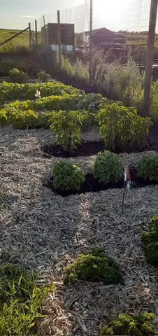 $439,000 | 32745 Co Highway 37, Ponsford, MN 56575