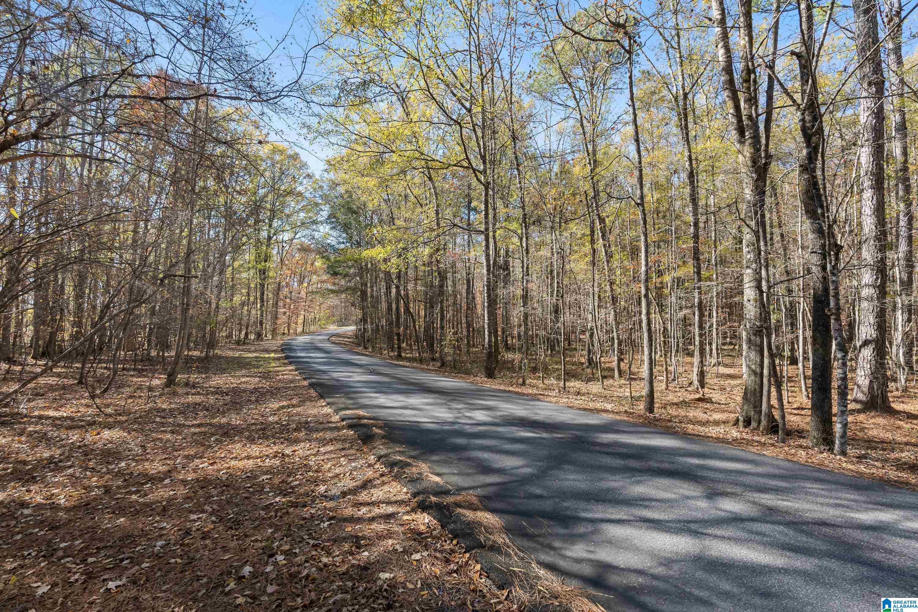 0 Pumpkin Hollow Road Sterrett, AL 35147 - Photo 47 of 55