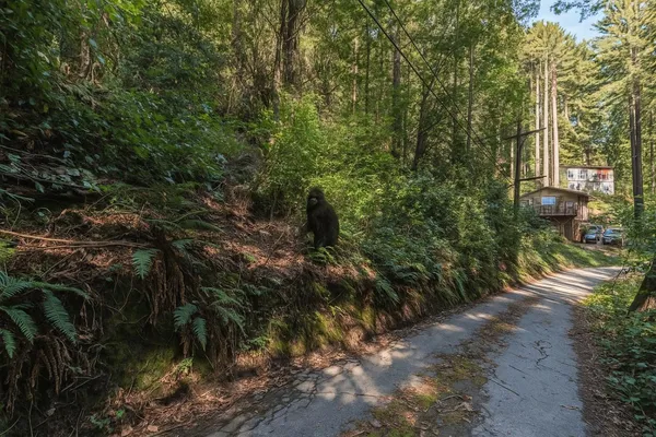 $5,000 | Lot 12 Vera Avenue, Felton, CA 95018