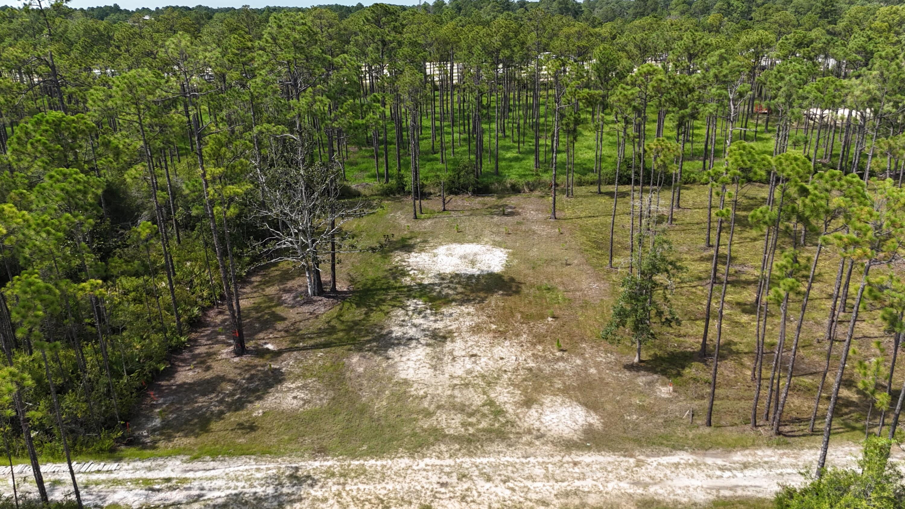 Lot 6 Foxmire Farm Road Santa Rosa Beach, FL 32459 - Photo 2 of 8 a backyard of a house
