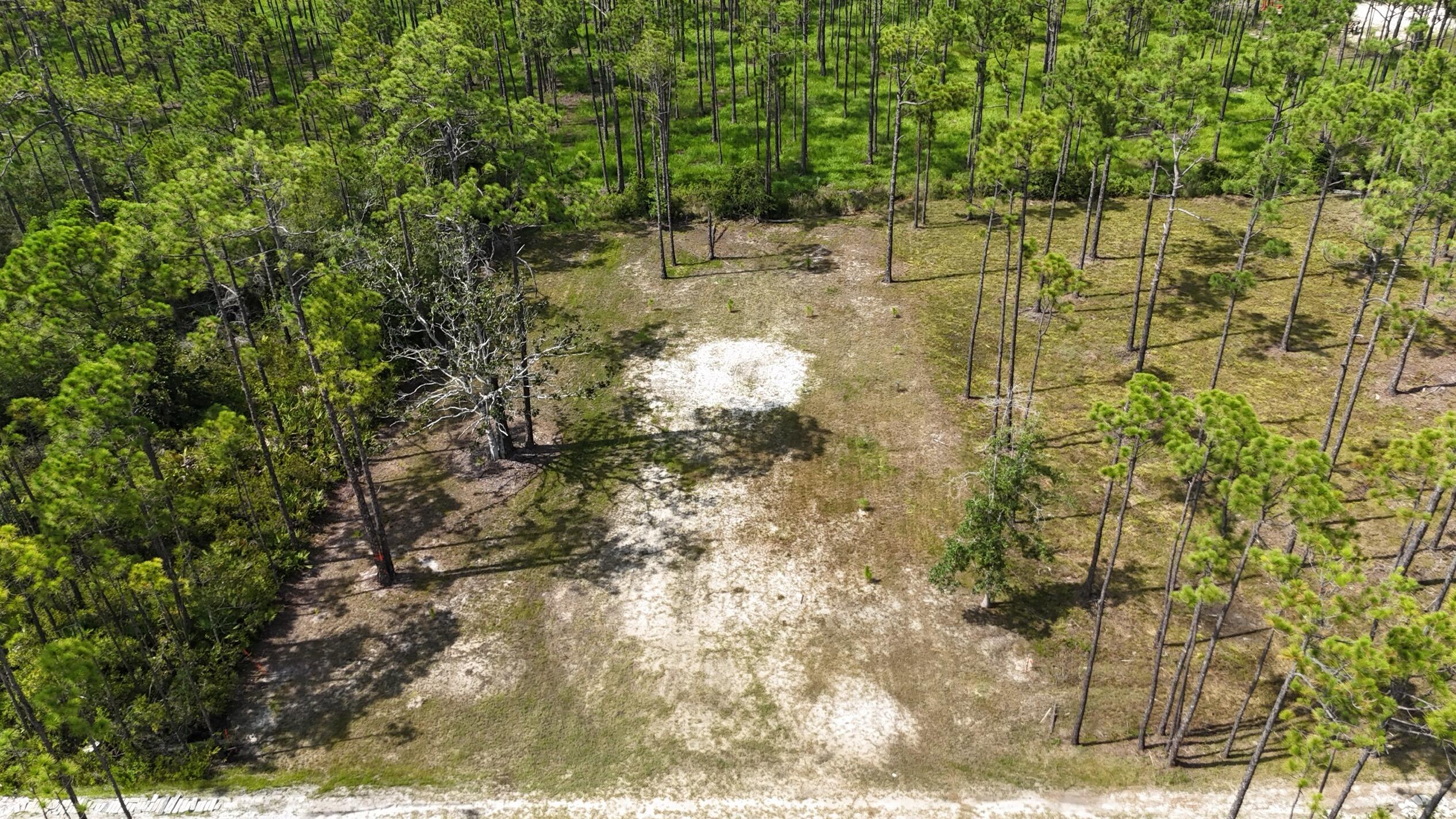 Lot 6 Foxmire Farm Road Santa Rosa Beach, FL 32459 - Photo 6 of 8 a view of yard