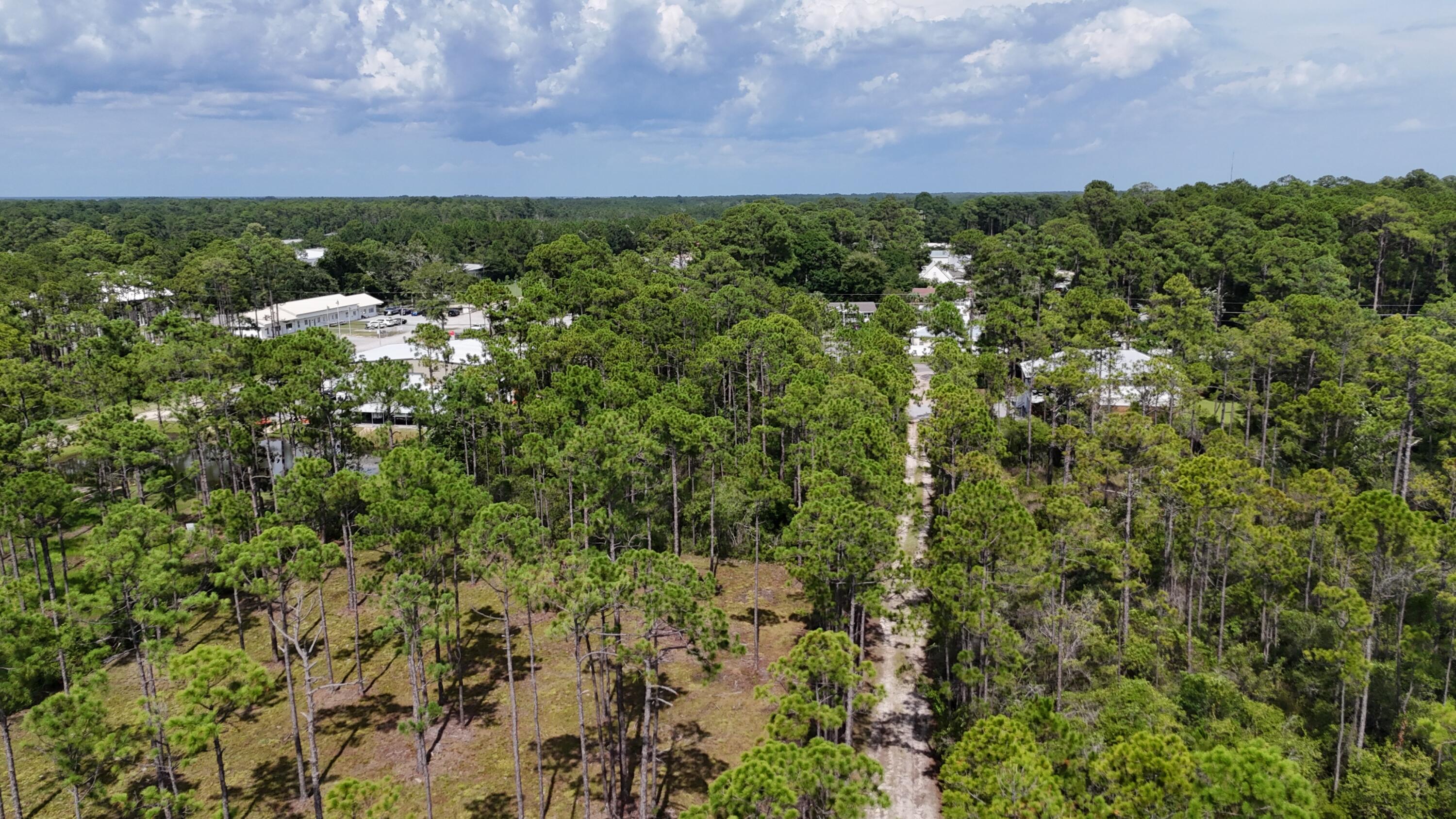 Lot 6 Foxmire Farm Road Santa Rosa Beach, FL 32459 - Photo 8 of 8 a view of a bunch of trees and bushes