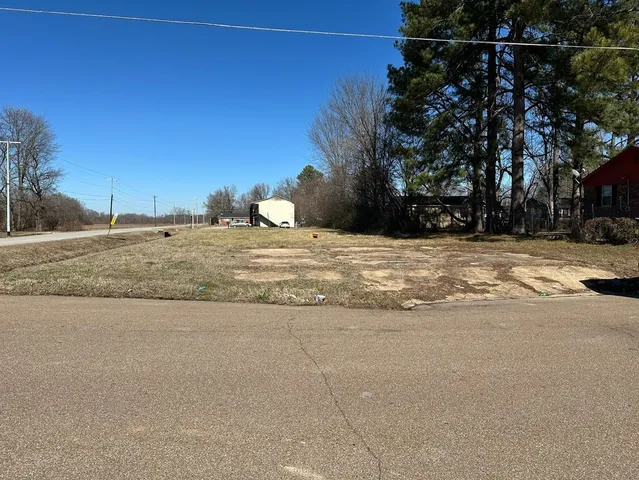 a view of a tree with a yard