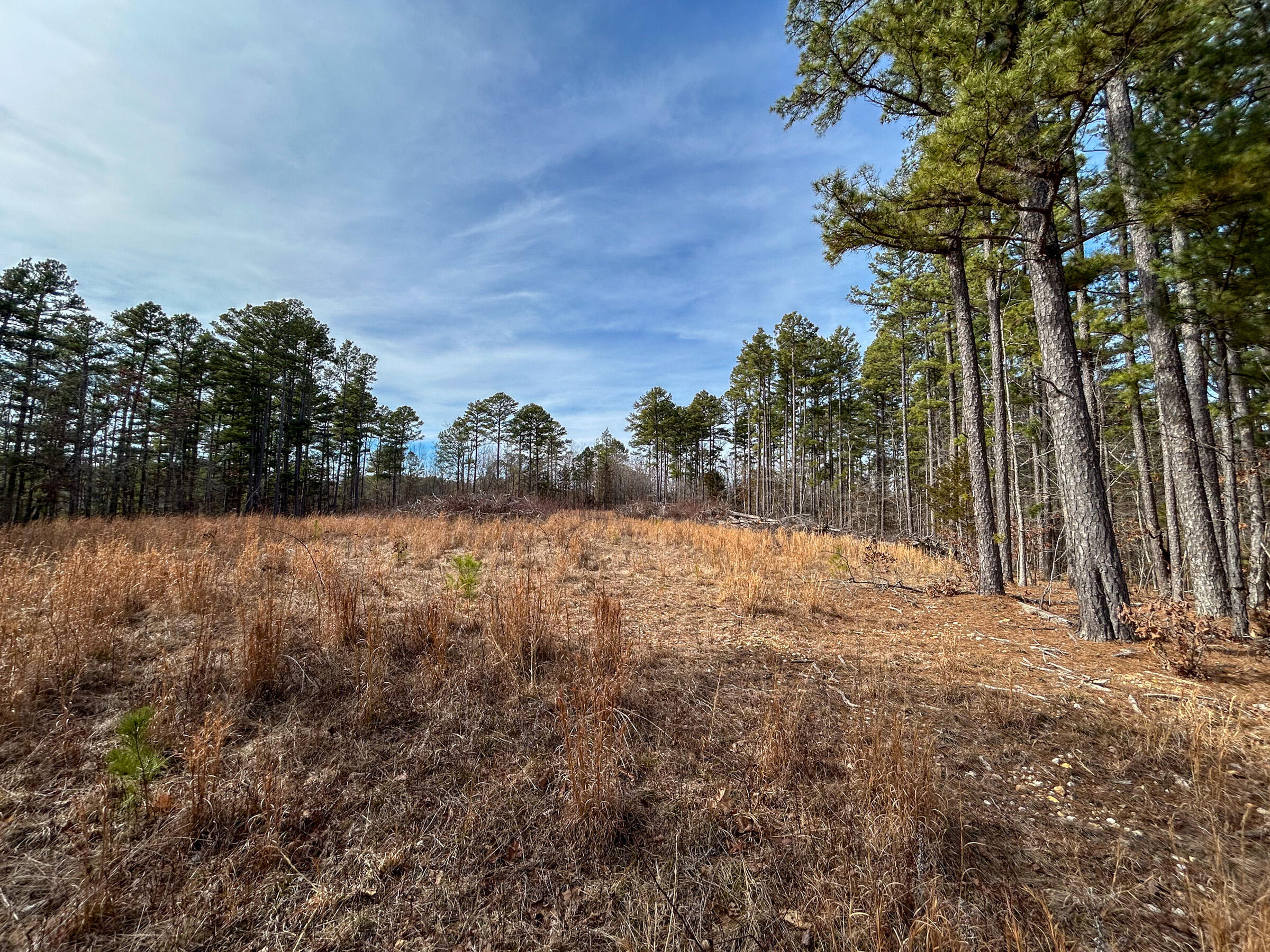 513 Timberline Road Willow Springs, MO 65793 - Photo 1 of 1 Surveyed Land for Sale