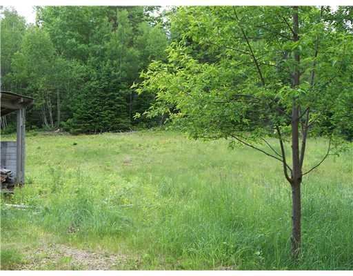 290 Reynolds Road Thorndike, ME 04986 - Photo 4 of 15 Land.