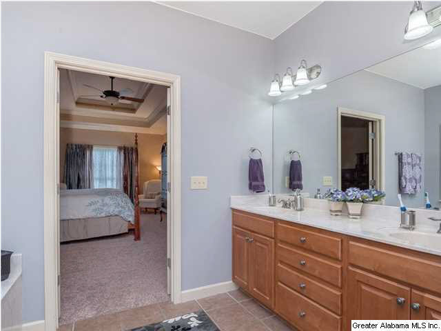 22578 Iron Masters Loop McCalla, AL 35111 - Photo 19 of 32