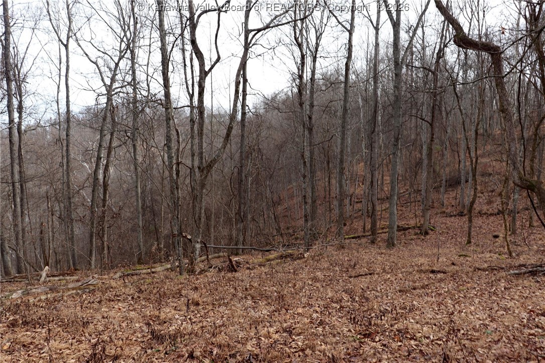 0 Route 12 Road Alum Creek, WV 25003 - Photo 14 of 44 Gallery Image 14