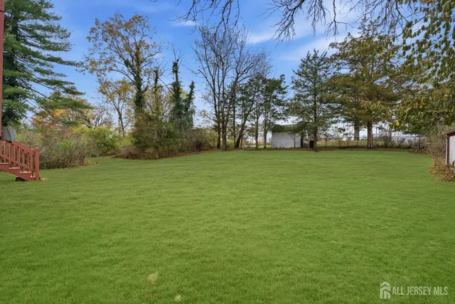 a view of a field of grass and trees