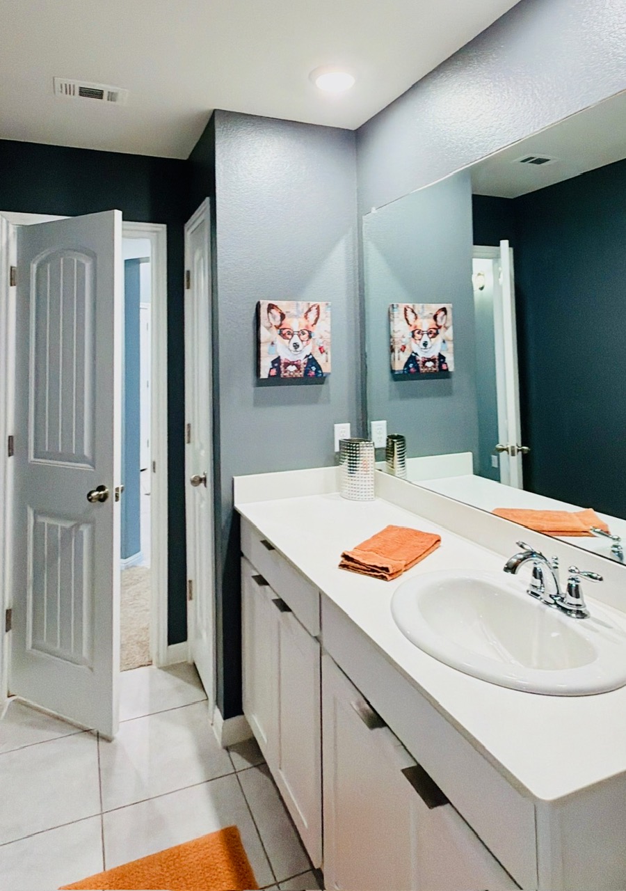 1005 Sundrops Street Leander, TX 78641 - Photo 23 of 39 a bathroom with a sink a mirror and a shower