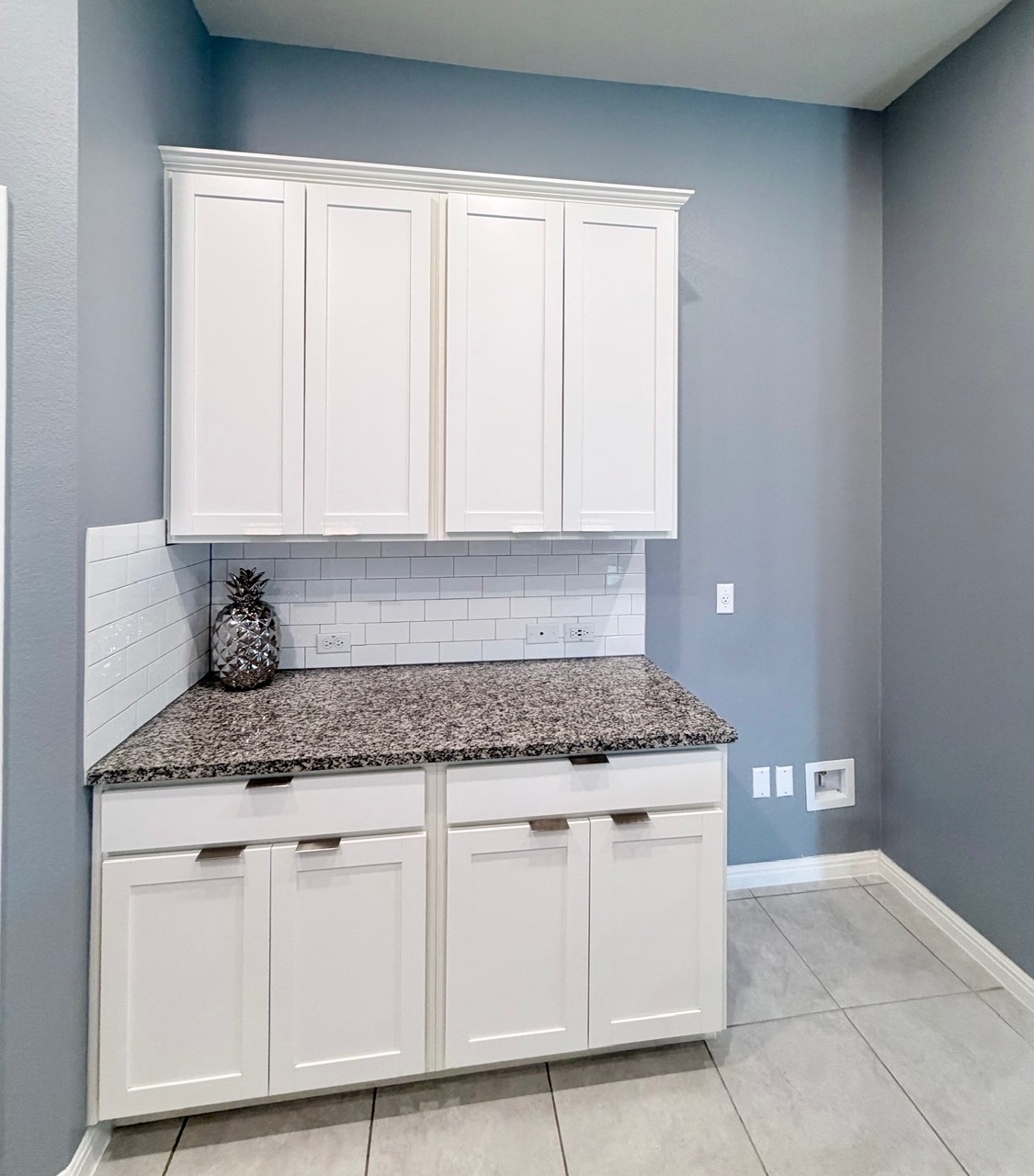 1005 Sundrops Street Leander, TX 78641 - Photo 6 of 39 a kitchen with granite countertop white cabinets and a granite counter tops