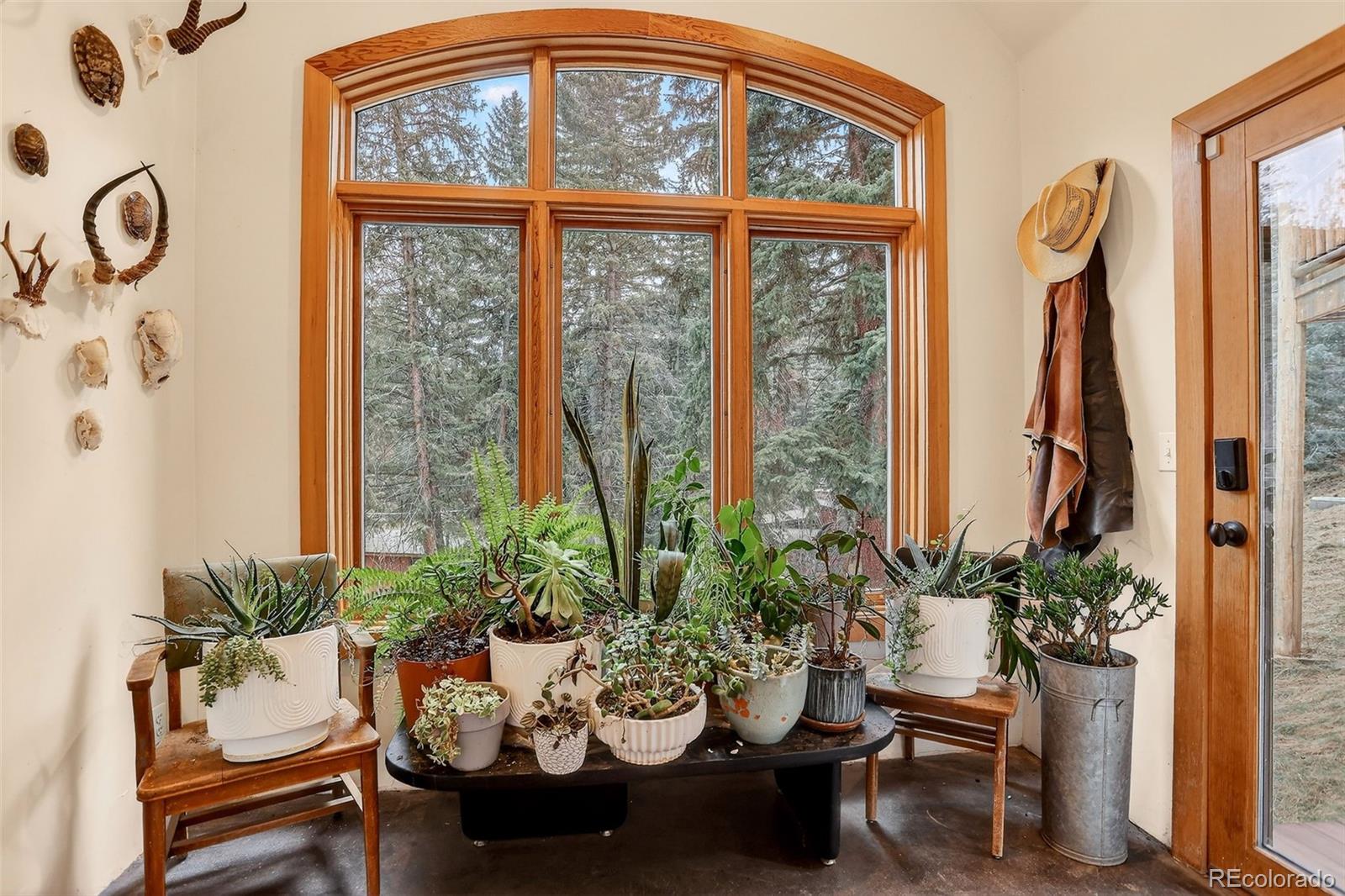 24844 North Turkey Creek Road Evergreen, CO 80439 - Photo 25 of 40