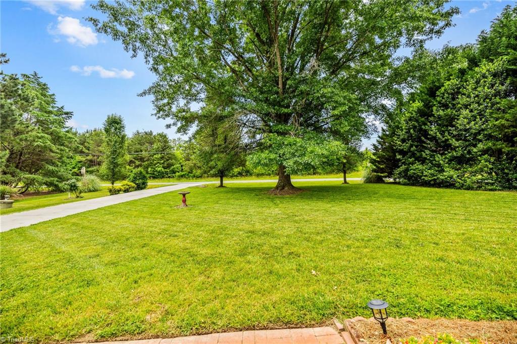 3603 Fieldview Road Pleasant Garden, NC 27313 - Photo 29 of 31 View of driveway leading to home.