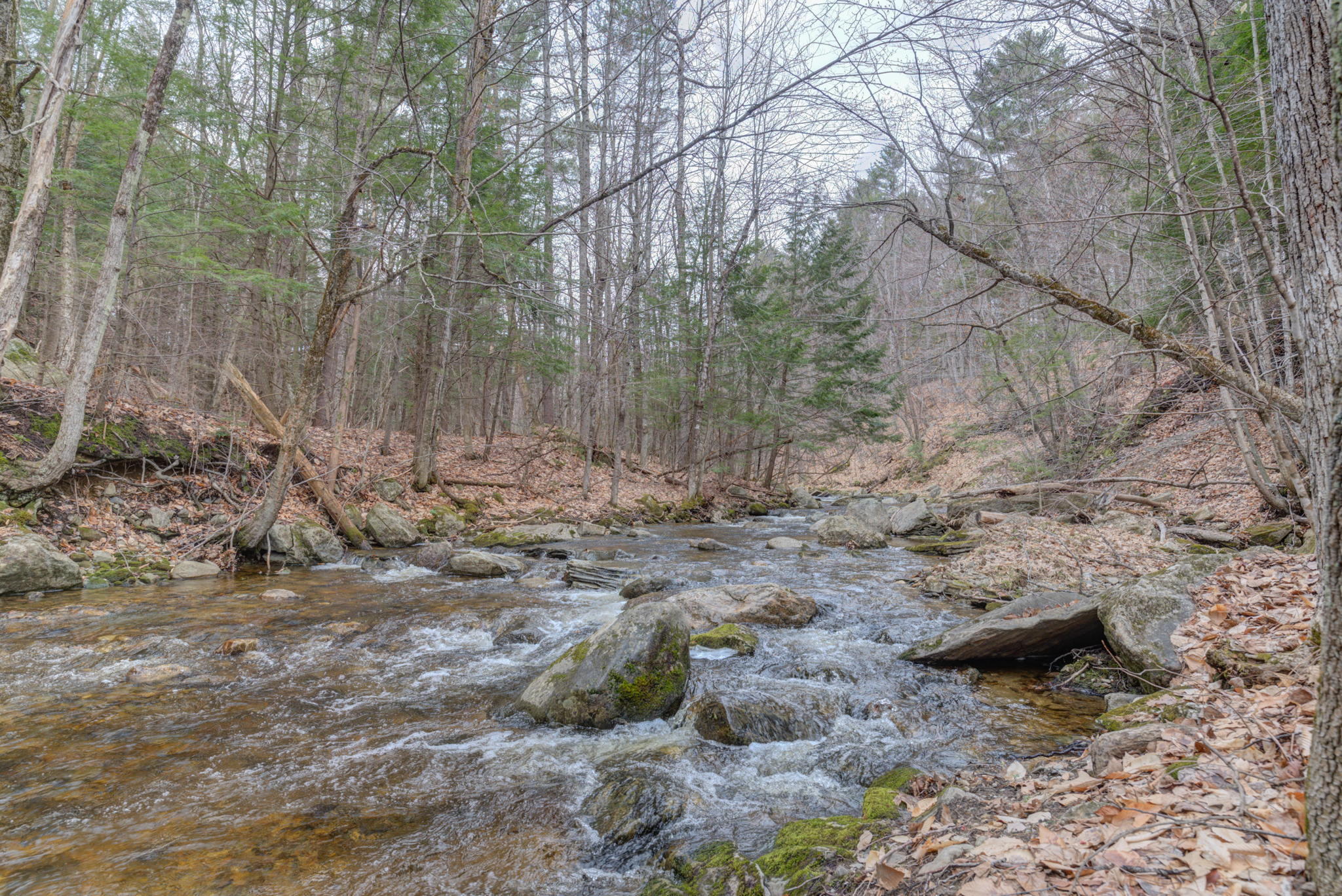 354 Darnit Road Buckfield, ME 04220 - Photo 24 of 28 24-web-or-mls-Pic#-22