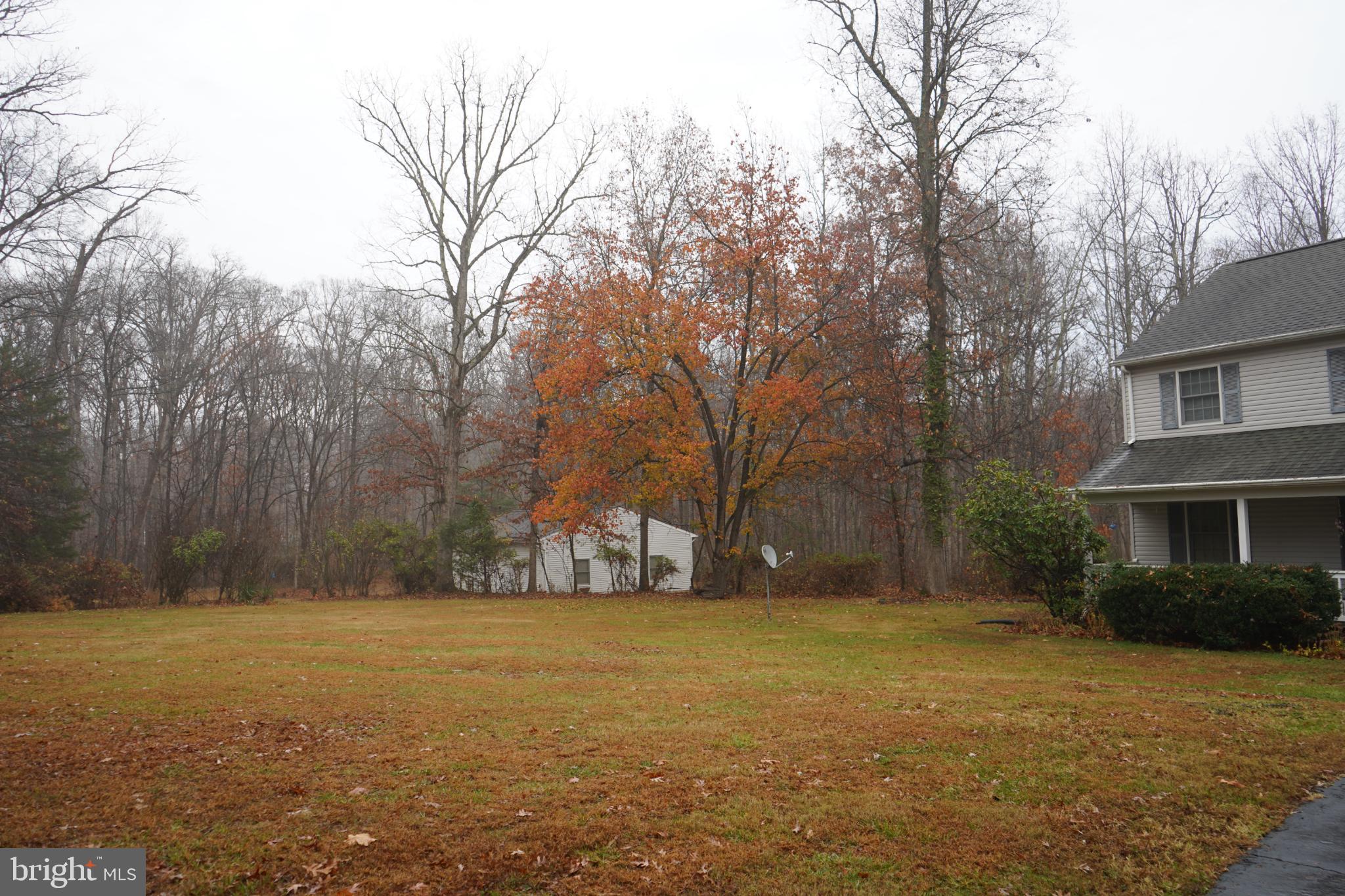 7323 O'Keefe Road Bealeton, VA 22712 - Photo 2 of 26 Serene autumn landscape with vibrant foliage.