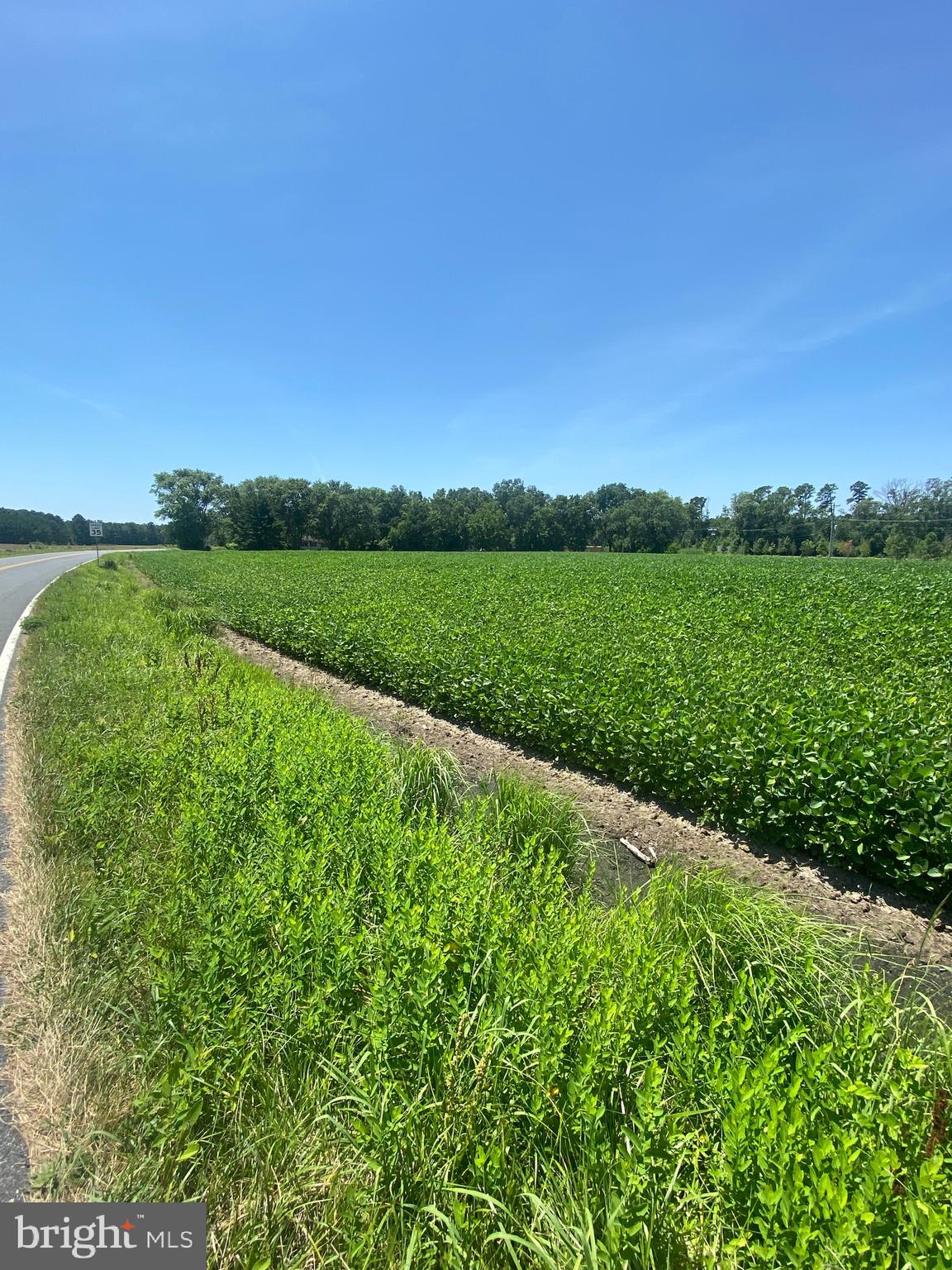 0 Lawson Barnes Road Crisfield, MD 21817 - Photo 2 of 4 a view of a green field with clear sky