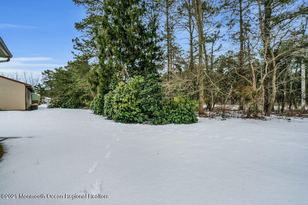 144 A Sunset Road, Unit A Whiting, NJ 08759 - Photo 45 of 45 049_dsc07094