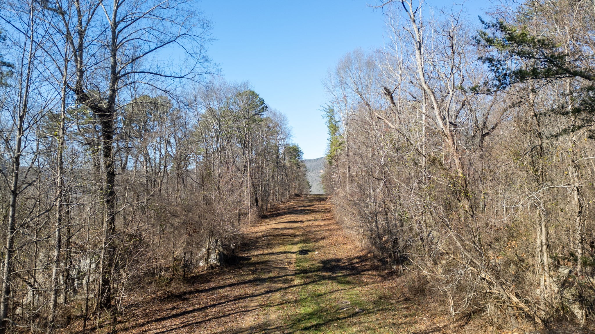 2425 Suck Creek Road Chattanooga, TN 37405 - Photo 6 of 15 Gallery Image 6
