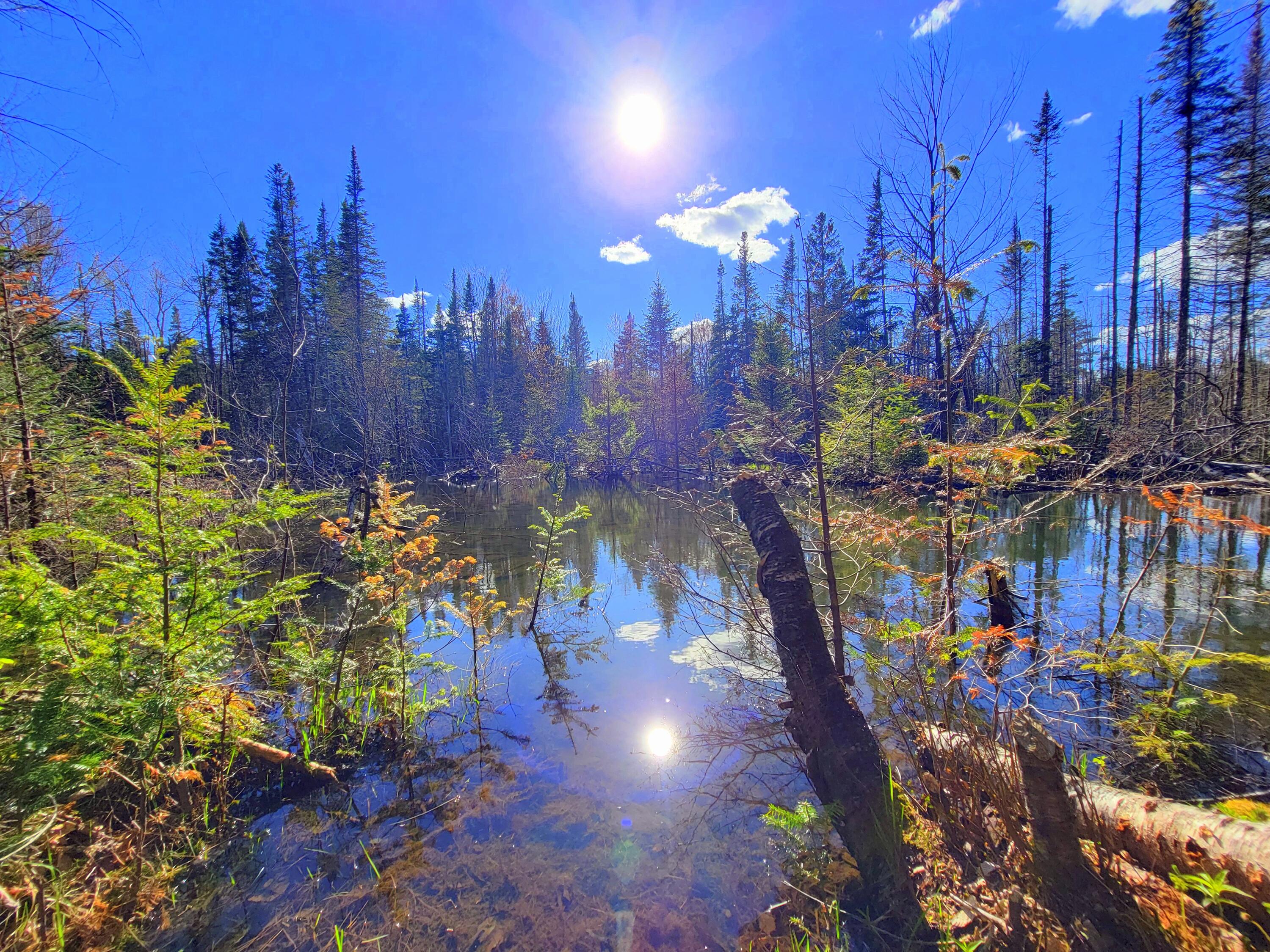 181 Brown Road Farmington, ME 04938 - Photo 3 of 110 Beaver Pond