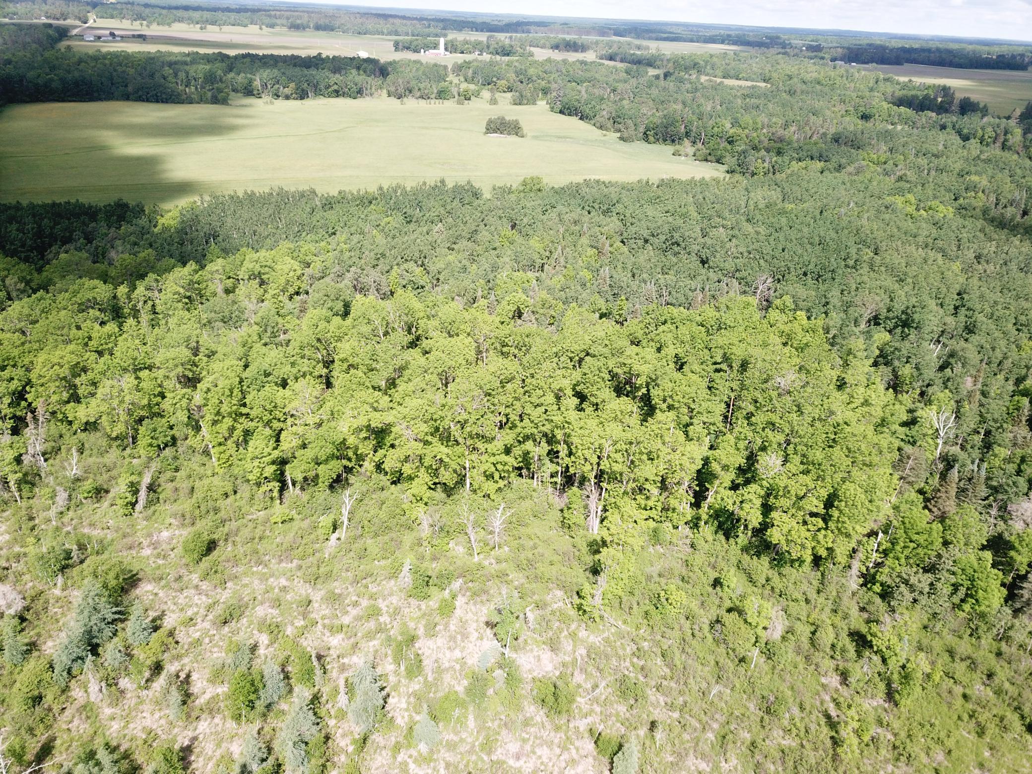 Tbd1 Mud Lake Road Bagley, MN 56621 - Photo 15 of 31
