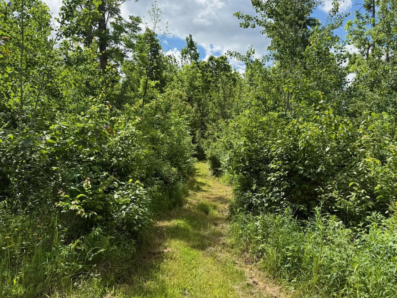 63872 Kingsdale Road Sandstone, MN 55072 - Photo 7 of 14