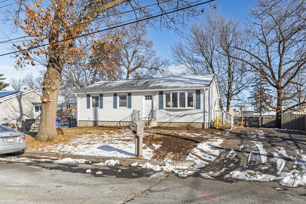 207 Lamont Street Springfield, MA 01119 - Photo 40 of 42