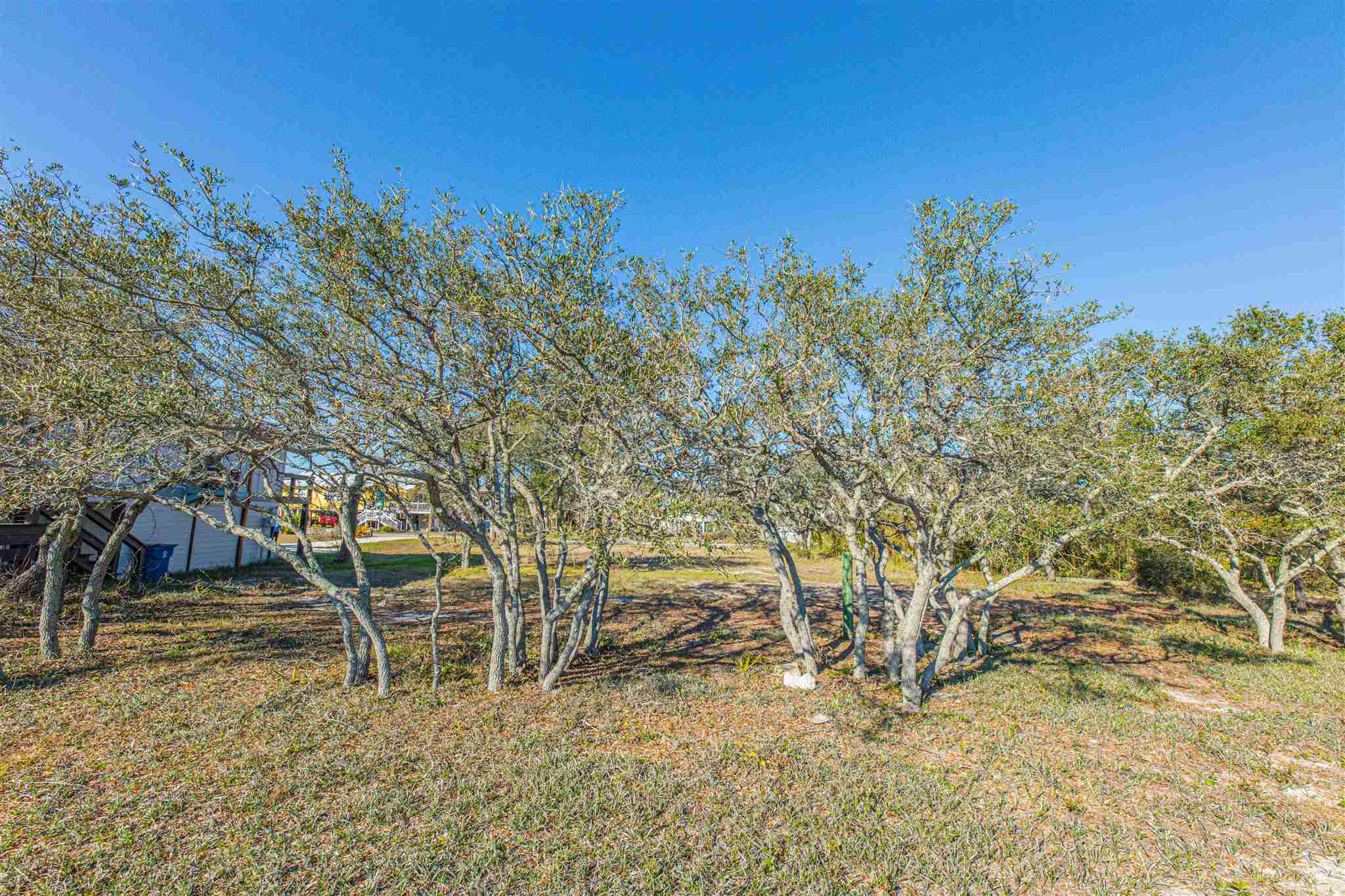147 West 3rd Avenue Gulf Shores, AL 36542 - Photo 4 of 7