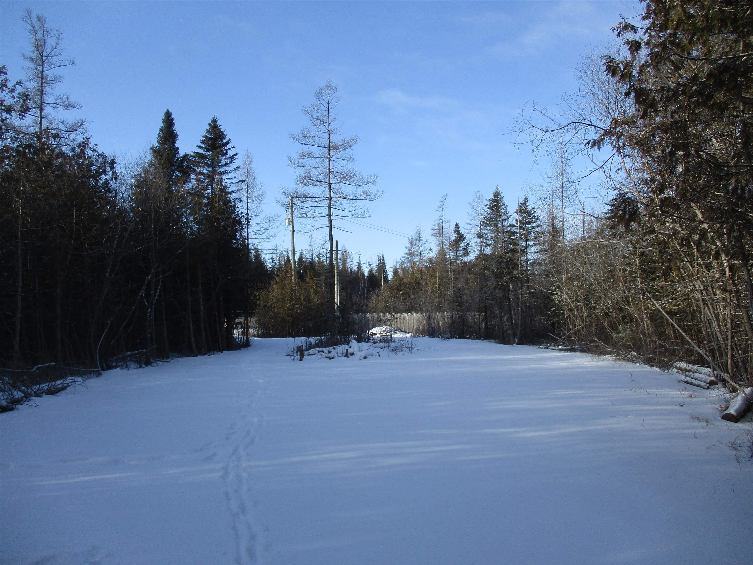 4220 Partridge Point Road North Alpena, MI 49707 - Photo 7 of 9 1908218-6.JPG