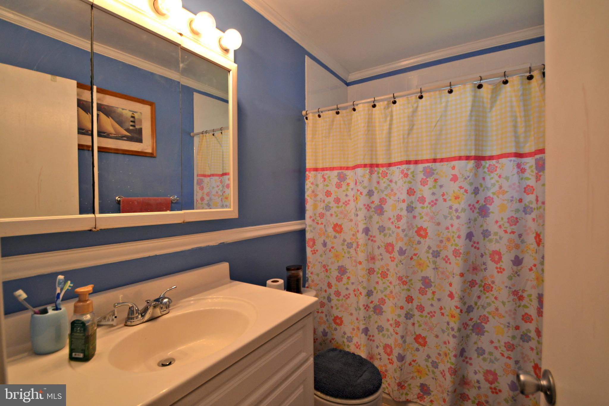 118 Brunk Road Reisterstown, MD 21136 - Photo 10 of 25 Full bath