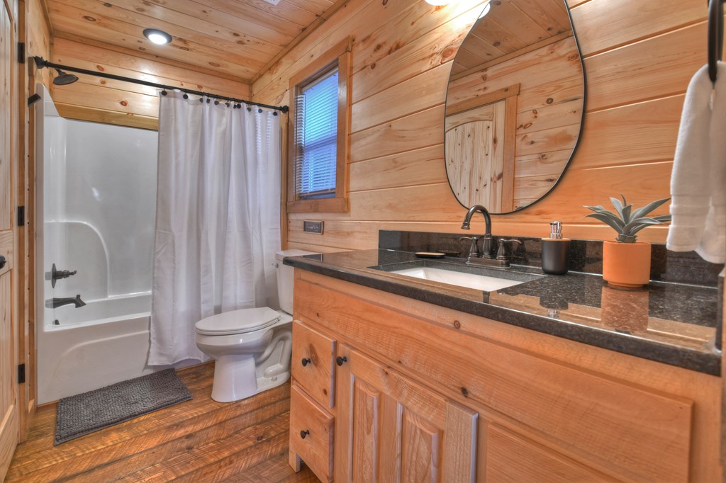 6 Oasis Drive Blue Ridge, GA 30513 - Photo 11 of 37 Gallery Image 11