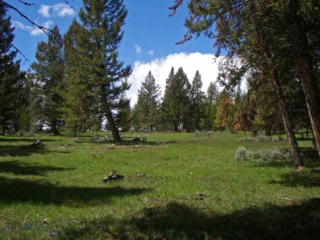 Tbd Pessl Road Gallatin Gateway, MT 59730 - Photo 1 of 1 Gallery Image 1
