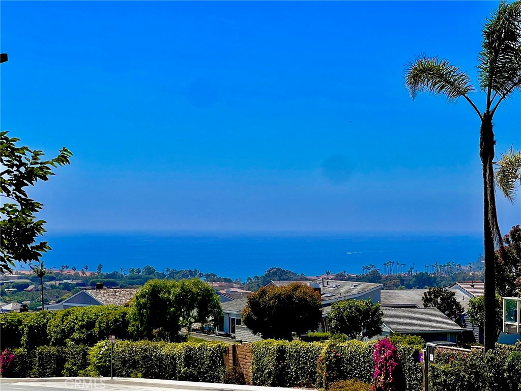 24272 Selva Road Dana Point, CA 92629 - Photo 2 of 39 a view of a city