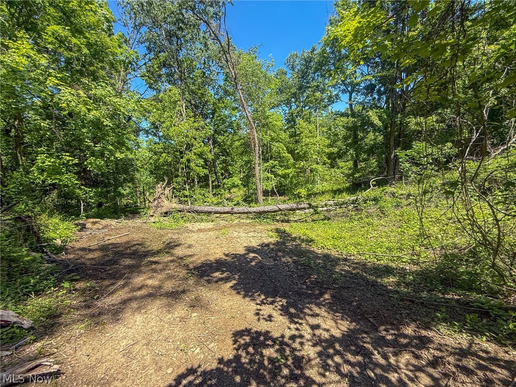 Lot 4 Altamont Road Mingo Junction, OH 43938 - Photo 4 of 27 Gallery Image 4