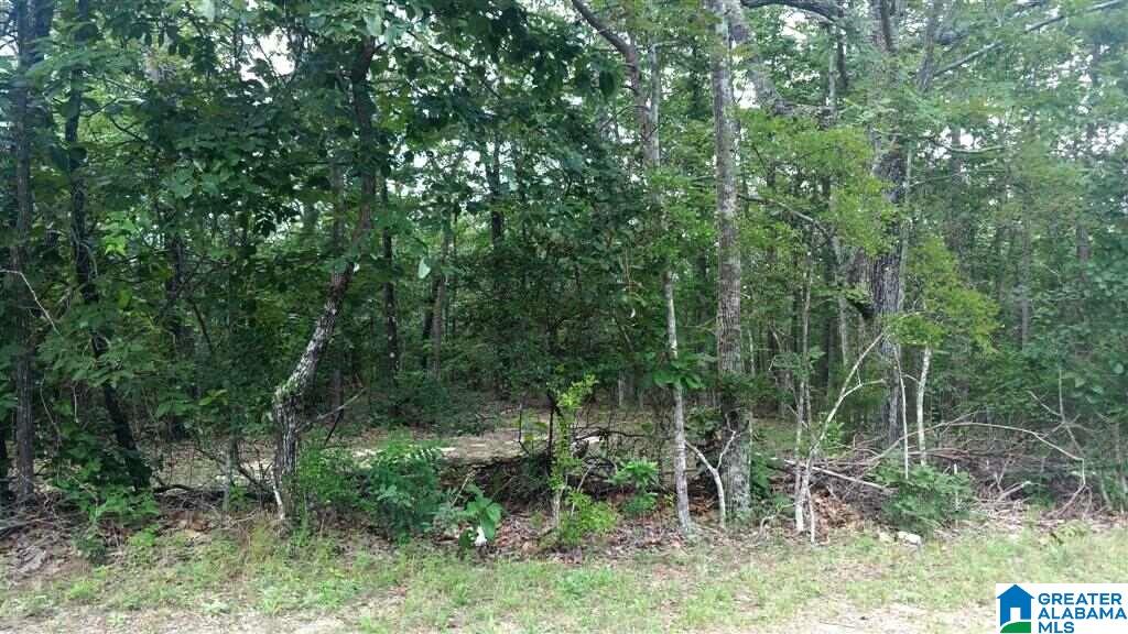 0 Powell Road Remlap, AL 35133 - Photo 14 of 19