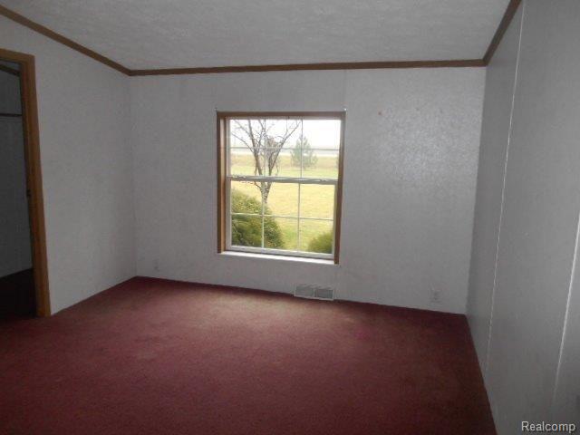 490 West Peck Road Peck, MI 48466 - Photo 11 of 12 490 W Peck (19).jpg
