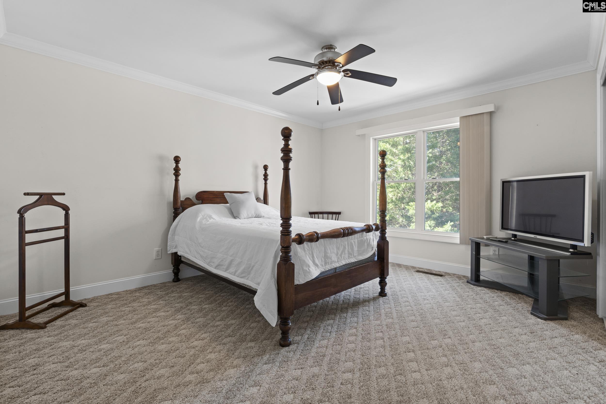 116 Lakeside Road Chapin, SC 29036 - Photo 37 of 89