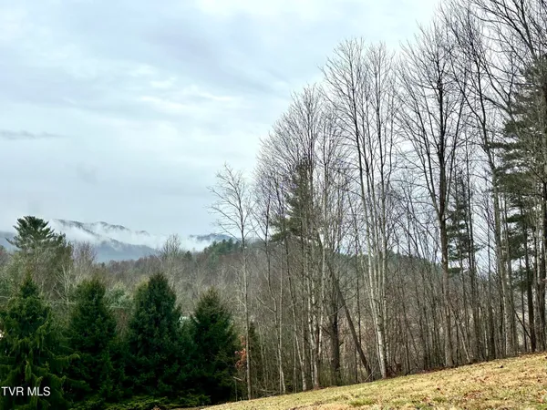 $379,900 | 256 William Hawkins Lane, Mountain City, TN 37683