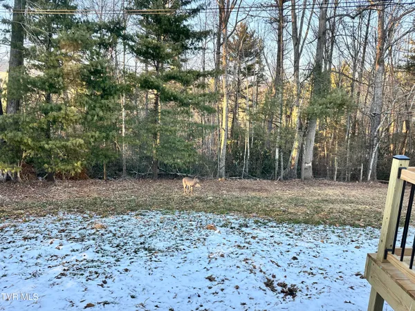 $379,900 | 256 William Hawkins Lane, Mountain City, TN 37683